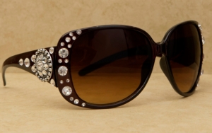 Blazin Roxx® Women's Brown with Silver Round Concho and Clear Crystals Sunglasses