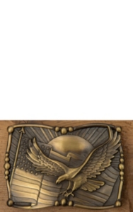 AndWest® Brass Eagle & Flag Rectangular Buckle