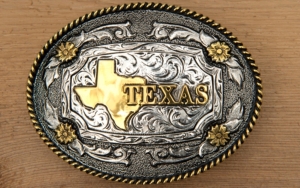 AndWest® Antiqued Silver & Gold Texas Motif Oval Buckle