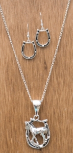 3-D Belt Company® Silver Horseshoe Jewelry Set