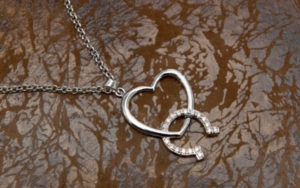 Montana Silversmiths® Hooked on You Horseshoe and Heart Necklace