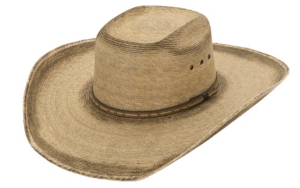 Cavenders® 15X Bullrider Toast with Three Tone Hatband Palm Leaf Hat