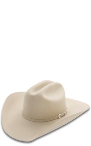 stetson 20x silverbelly