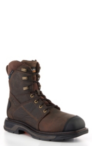 ariat workhog lace up