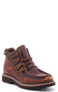 ariat exhibitor boots