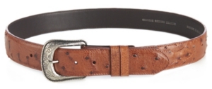 cavender's men's belts