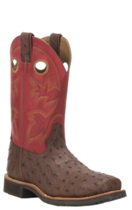 steel toe ostrich boots