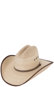 jason aldean hat resistol