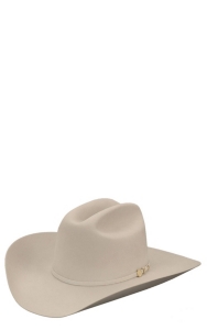 tejanas stetson 100x