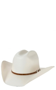 stetson 300x