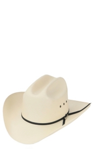 stetson 6x spartan straw cowboy hat