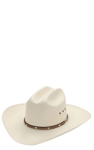 stetson 10x